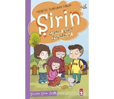 Şirin - Gizemli Küpün Peşindeyiz! - Birsen Ekim Özen - Timaş Çocuk