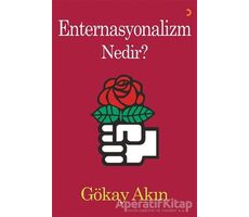 Enternasyonalizm Nedir? - Gökay Akın - Cinius Yayınları