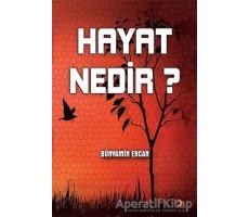 Hayat Nedir? - Bünyamin Ercan - Cinius Yayınları