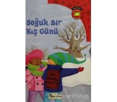 Soğuk Bir Kış Günü - Carl Emerson - Teleskop Popüler Bilim