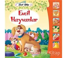 Evcil Hayvanlar - Sesli Kitap - Kolektif - Yumurcak Yayınları