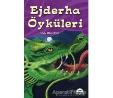 Ejderha Öyküleri - Andy Blackford - Martı Yayınları