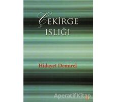 Çekirge Islığı - Hidayet Demirel - Cinius Yayınları