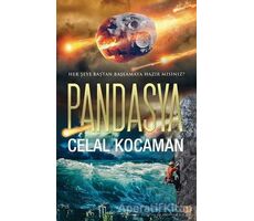 Pandasya - Celal Kocaman - Cinius Yayınları