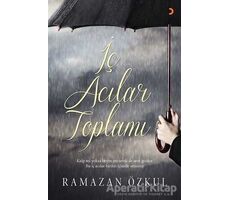 İç Acılar Toplamı - Ramazan Özkul - Cinius Yayınları