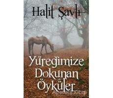 Yüreğimize Dokunan Öyküler - Halit Şavlı - Cinius Yayınları