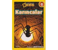 Karıncalar - Seviye 1 - Melissa Stewart - Beta Kids