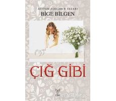 Çığ Gibi - Bige Bilgen - Feniks Yayınları