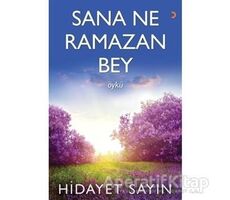 Sana Ne Ramazan Bey - Hidayet Sayın - Cinius Yayınları