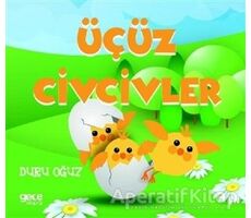 Üçüz Civcivler - Duru Oğuz - Gece Kitaplığı