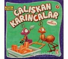 Çalışkan Karıncalar ile Tanışalım - Kolektif - Timaş Çocuk