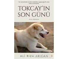 Tokcay’ın Son Günü - Ali Rıza Arıcan - Cinius Yayınları