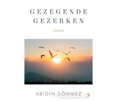 Gezegende Gezerken - Abidin Sönmez - Cinius Yayınları