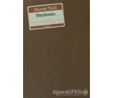 Neylersin - Ahmet Telli - Everest Yayınları