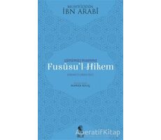 Günümüz İnsanına Fususu’l-Hikem - Muhyiddin İbn Arabi - İnsan Yayınları