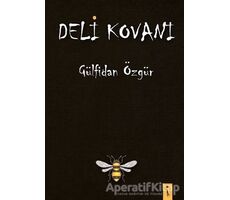 Deli Kovanı - Gülfidan Özgür - İkinci Adam Yayınları