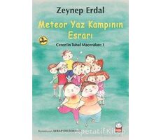 Meteor Yaz Kampının Esrarı - Zeynep Erdal - Kırmızı Kedi Çocuk