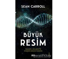 Büyük Resim - Sean Carroll - Alfa Yayınları