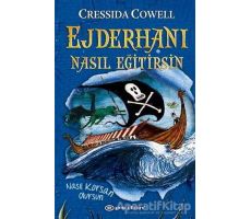 Ejderhanı Nasıl Eğitirsin 2 - Cressida Cowell - Epsilon Yayınevi