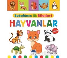 Hayvanlar - Bebeğimin İlk Bilgileri - Mine Sultan Ünver - Martı Çocuk Yayınları