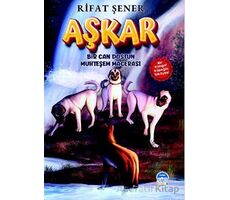 Aşkar - Rifat Şener - Martı Çocuk Yayınları