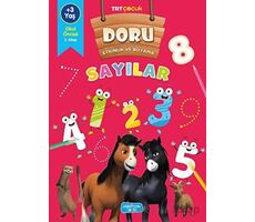 Doru Etkinlik ve Boyama - Sayılar - Kolektif - Yediveren Çocuk