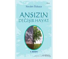 Ansızın Değişir Hayat - Necdet Özkaya - Ayrıkotu Yayınları