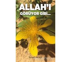 Allahı Görüyor Gibi - Sinan Akar - Beka Yayınları