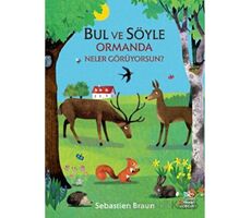 Bul ve Söyle - Ormanda Neler Görüyorsun? - Sebastien Braun - İthaki Çocuk Yayınları