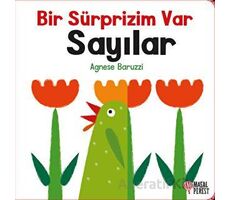 Bir Sürprizim Var - Sayılar - Agnese Baruzzi - Masalperest