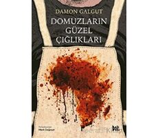 Domuzların Güzel Çığlıkları - Damon Galgut - Delidolu