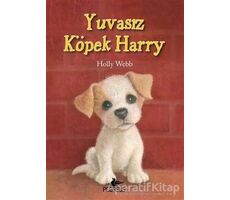 Yuvasız Köpek Harry - Holly Webb - Pegasus Çocuk Yayınları