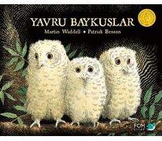 Yavru Baykuşlar - Martin Waddel - FOM Kitap