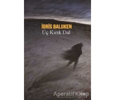 Üç Kırık Dal - İdris Baluken - Dipnot Yayınları