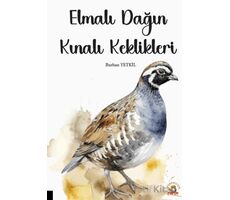 Elmalı Dağın Kınalı Keklikleri - Burhan Yetkil - Akademisyen Kitabevi