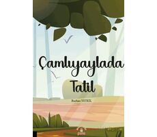 Çamlıyaylada Tatil - Burhan Yetkil - Akademisyen Kitabevi