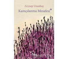 Kamçılanma Mesafesi - Zeynep Uzunbay - Sel Yayıncılık