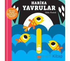 Kaydır ve Gülümse Harika Yavrular - Natalie Marshall - Uçan Fil Yayınları