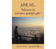 Şiir mi…”bilmem ki, içimden geldiği gibi” - Mustafa Uludağ - Cinius Yayınları