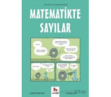 Matematikte Sayılar – Gençler İçin Çizgilerle Bilim - Samuel Hiti - Almidilli