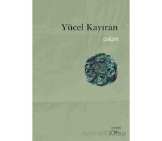 Çalgın - Yücel Kayıran - Everest Yayınları