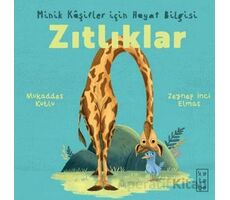 Minik Kâşifler için Hayat Bilgisi - Zıtlıklar - Mukaddes Kutlu - Ketebe Çocuk