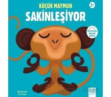 Küçük Maymun Sakinleşiyor - Michael Dahl - 1001 Çiçek Kitaplar