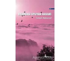 Bedduası Uyuyan Havari - İsmail Aykanat - Okur Kitaplığı