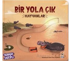 Bir Yola Çık - Hayvanlar - Kolektif - Sincap Kitap