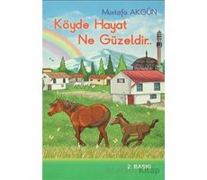 Köyde Hayat Ne Güzeldir - Mustafa Akgün - Akgün Yayıncılık