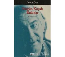 Sürgün Küçük Bulutlar - Demir Özlü - Yapı Kredi Yayınları