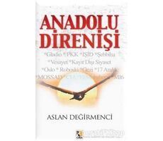 Anadolu Direnişi - Aslan Değirmenci - Çıra Yayınları