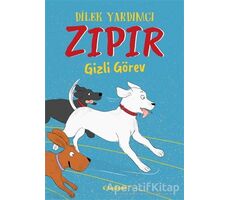 Zıpır Gizli Görev - Dilek Yardımcı - Tudem Yayınları