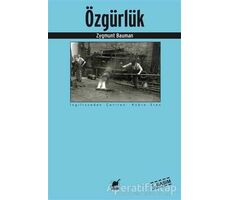 Özgürlük - Zygmunt Bauman - Ayrıntı Yayınları